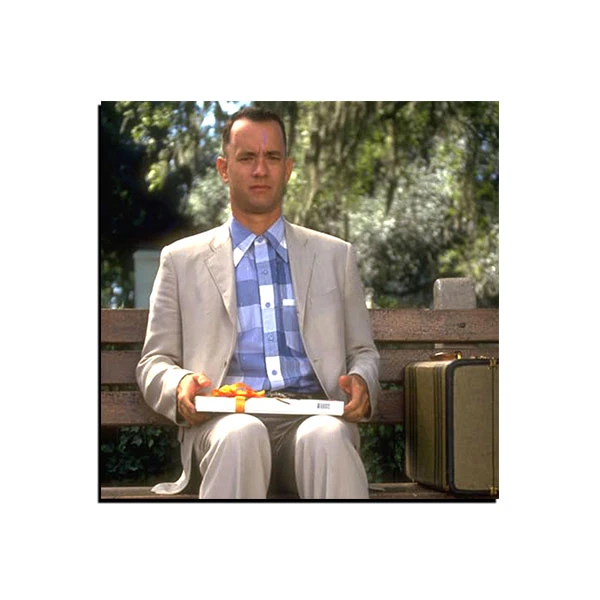 تابلو شاسی مدل فیلم فارست گامپ Forrest Gump