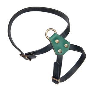 قلاده سگ مسترکاپالو مدل Ochi10G سایز L