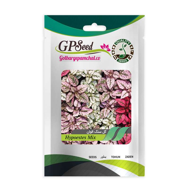 بذر گل گل سنگ گلبرگ پامچال کد GPF-165