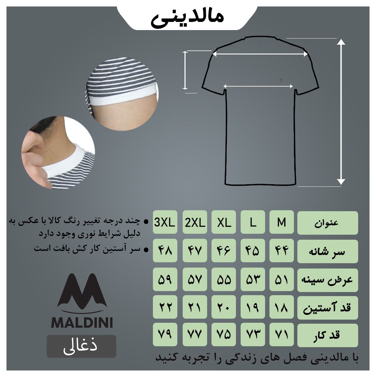 تی شرت آستین کوتاه مردانه مالدینی مدل t-487 -  - 4