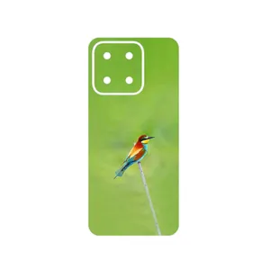 MAHOOT European bee-eater Cover Sticker for Honor X5b Plus