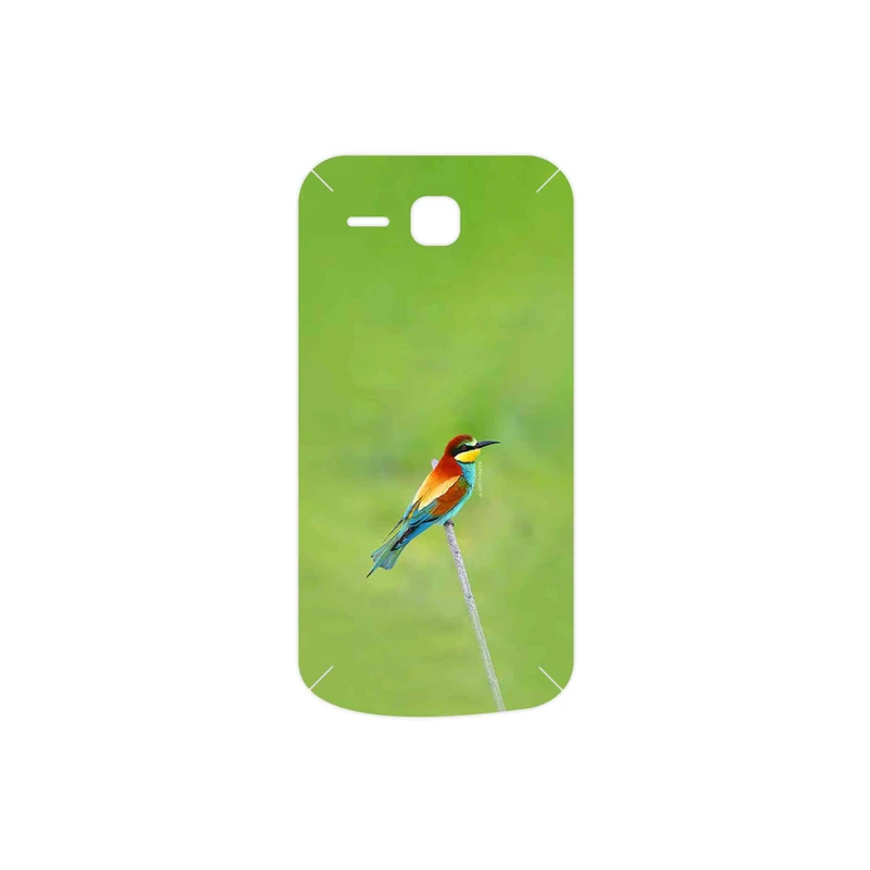برچسب پوششی ماهوت مدل European bee-eater مناسب برای گوشی موبایل هوآوی Ascend Y600