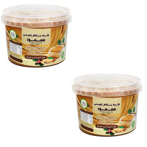 کره بادام زمینی رژیمی کرانچی مسعود -500 گرم بسته 2عددی