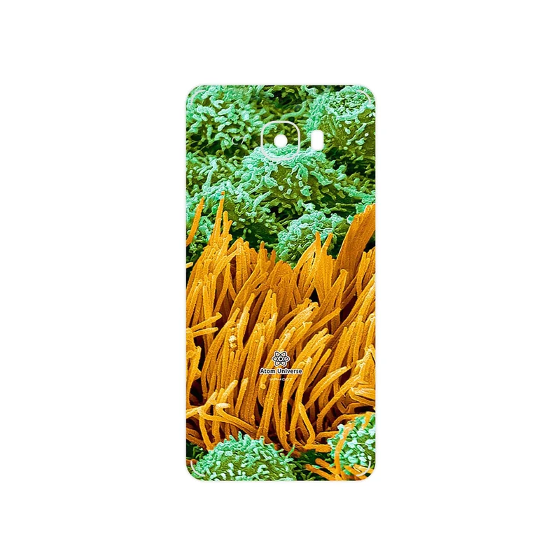 برچسب پوششی ماهوت مدل Atom Universe 6 مناسب برای گوشی موبایل سامسونگ Galaxy C7