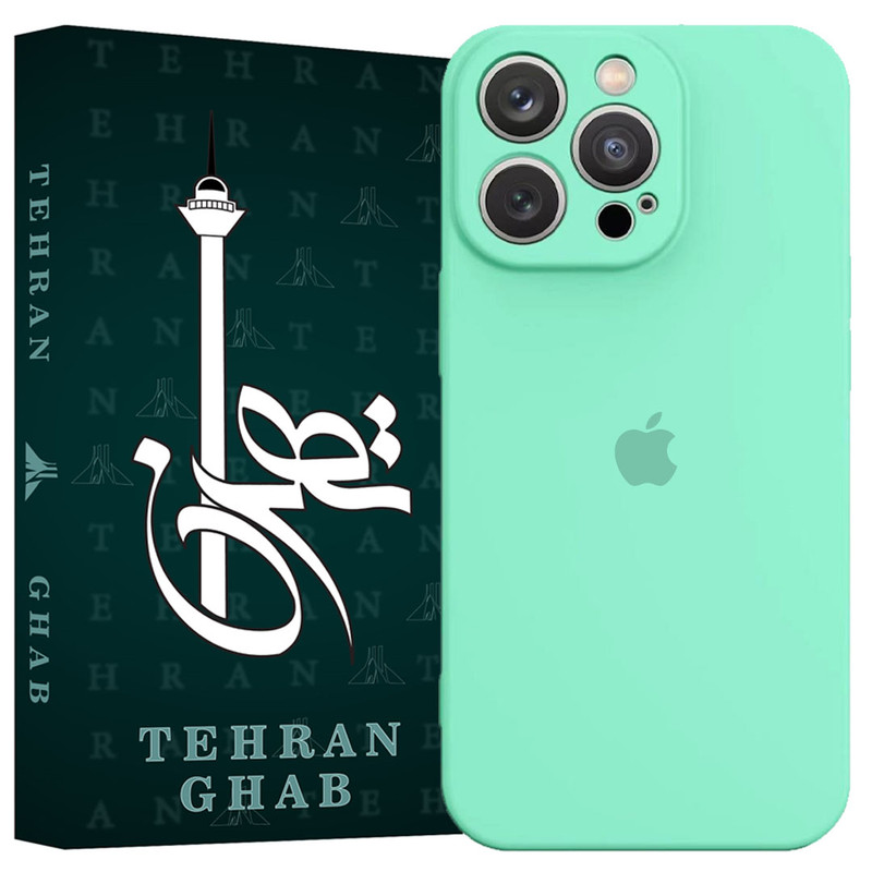 کاور تهران قاب مدل TSILICIN مناسب برای گوشی موبایل اپل iPhone 12 Pro Max
