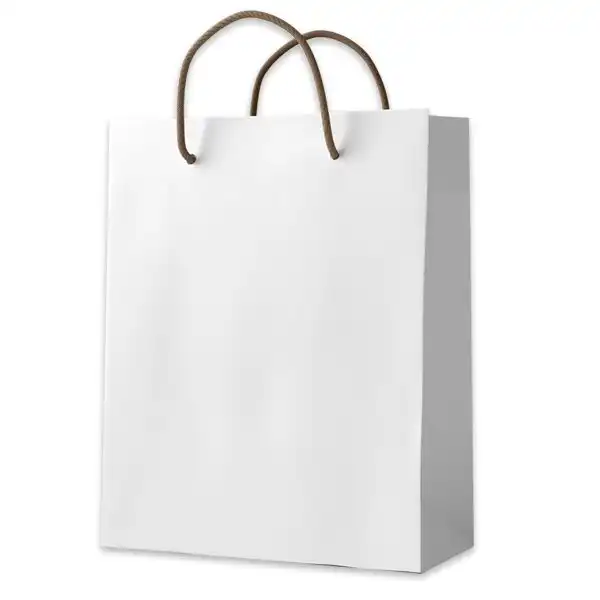 ساک هدیه مدل 10331 بسته 12 عددی