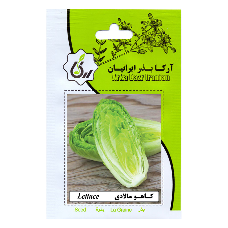 بذر کاهو سالادی آرکا بذر ایرانیان کد ARK-193 بذر کاهو سالادی آرکا بذر ایرانیان کد ARK-193