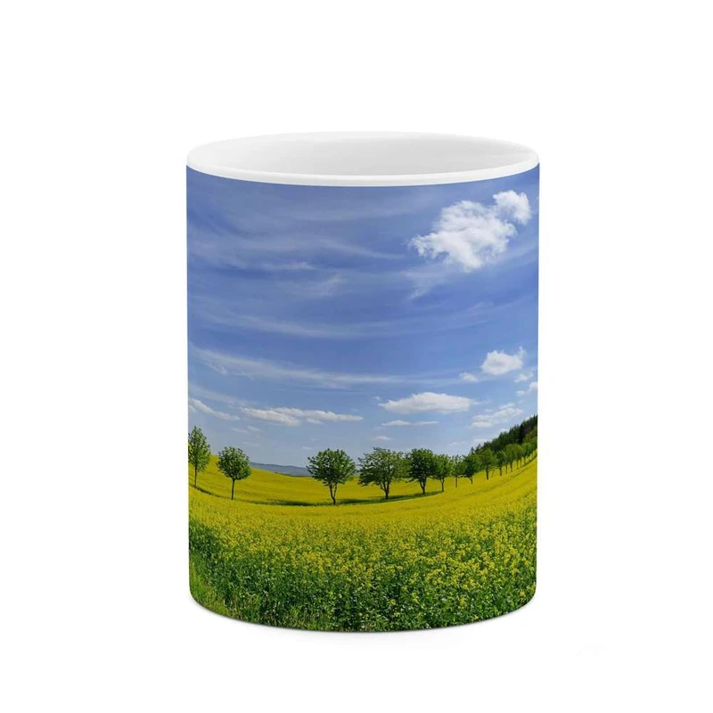 ماگ کاکتی مدل منظره کد mgh13087