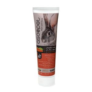 خمیر مالت جوندگان آسو پت مدل هویج وزن 120 گرم