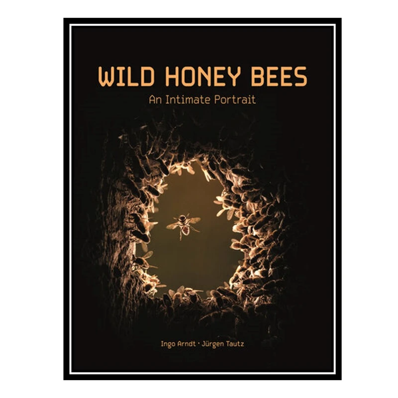 کتاب Wild Honey Bees: An Intimate Portrait اثر Ingo Arndt انتشارات مؤلفین طلایی