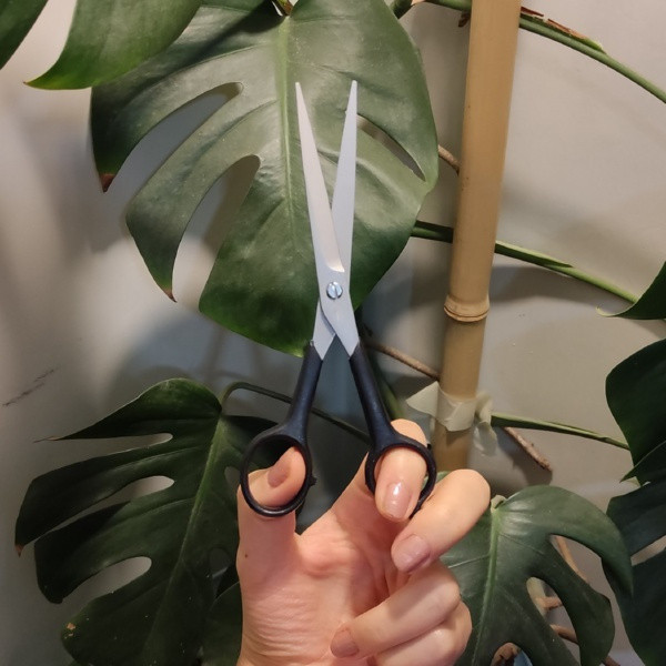 قیچی اصلاح مدل Gh601