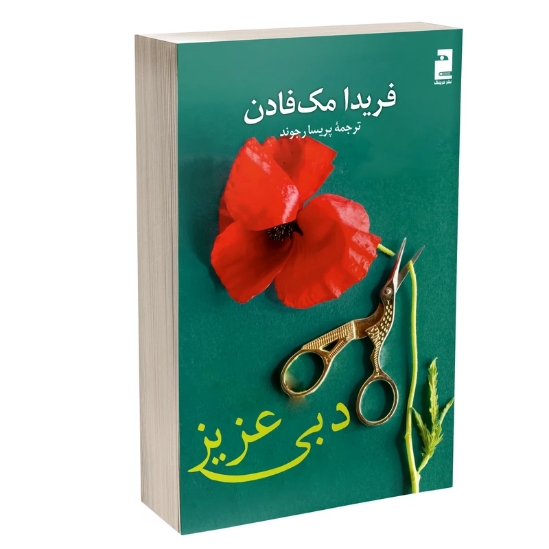کتاب دبی عزیز اثر فریدا مک فادن ترجمه پریسا رجوند نشر آذرگون