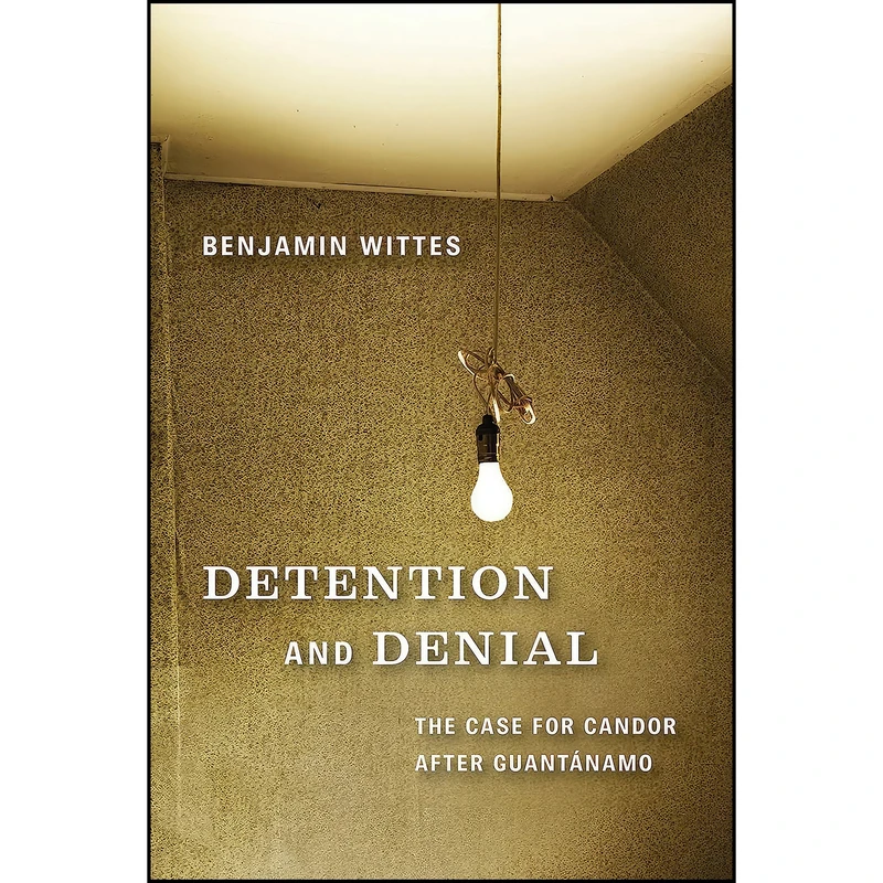 کتاب Detention and Denial اثر Benjamin Wittes انتشارات Brookings Institution Press