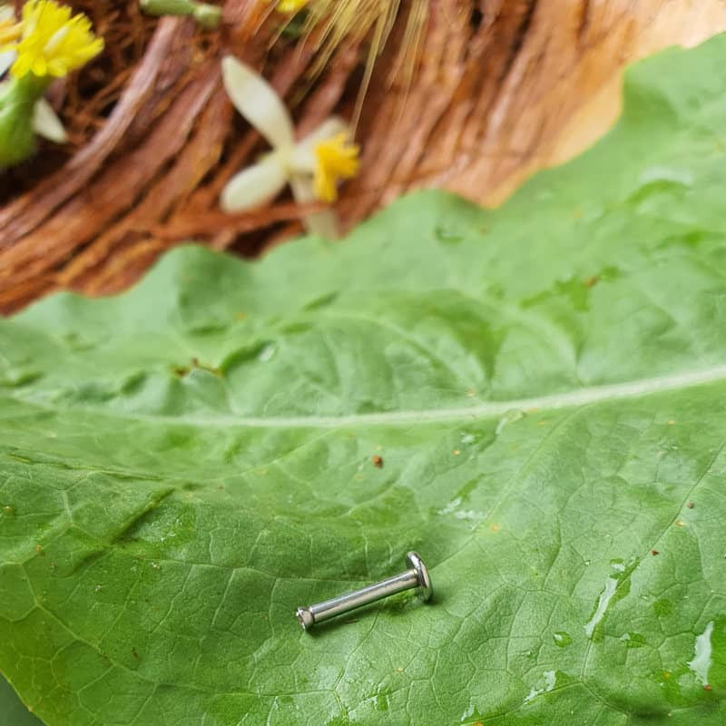 پیرسینگ بدن زنانه پایتخت مدل PS277