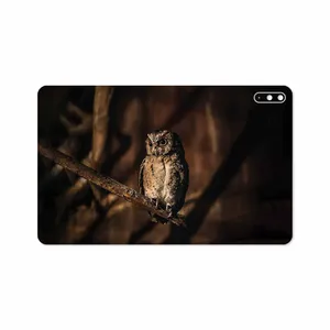 MAHOOT Owl Cover Sticker for Huawei Matepad 10.4 2020 BAH3-L09