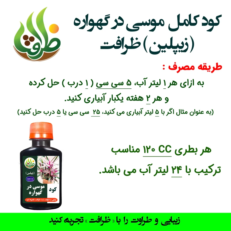 عکس شماره 3