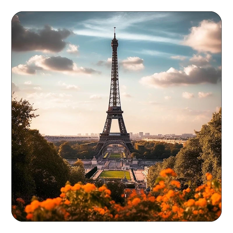 مگنت کاکتی طرح پاریس Paris مدل mp59824