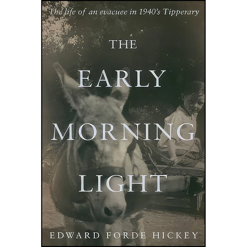 کتاب The Early Morning Light اثر Edward Forde Hickey انتشارات Troubador Publishing Ltd
