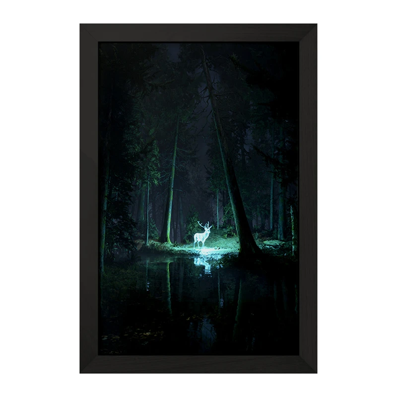 تابلو خندالو مدل هری پاتر (Harry Potter) کد F862