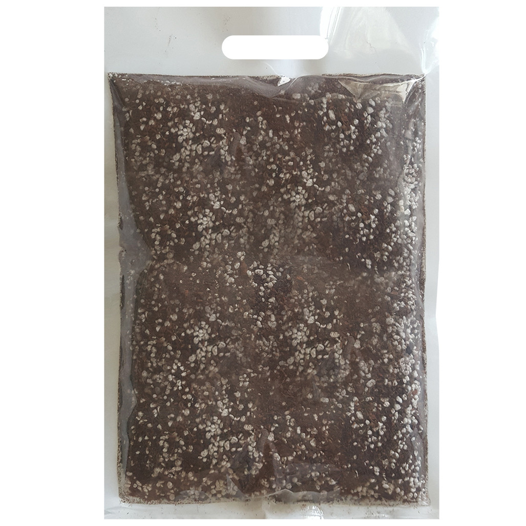 کوکوپیت و پیت ماس و پرلیت گیلدا مدل Cocolite حجم 2 لیتر