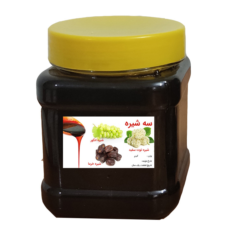 سه شیره مخلوط خرما توت انگور - 500 گرم