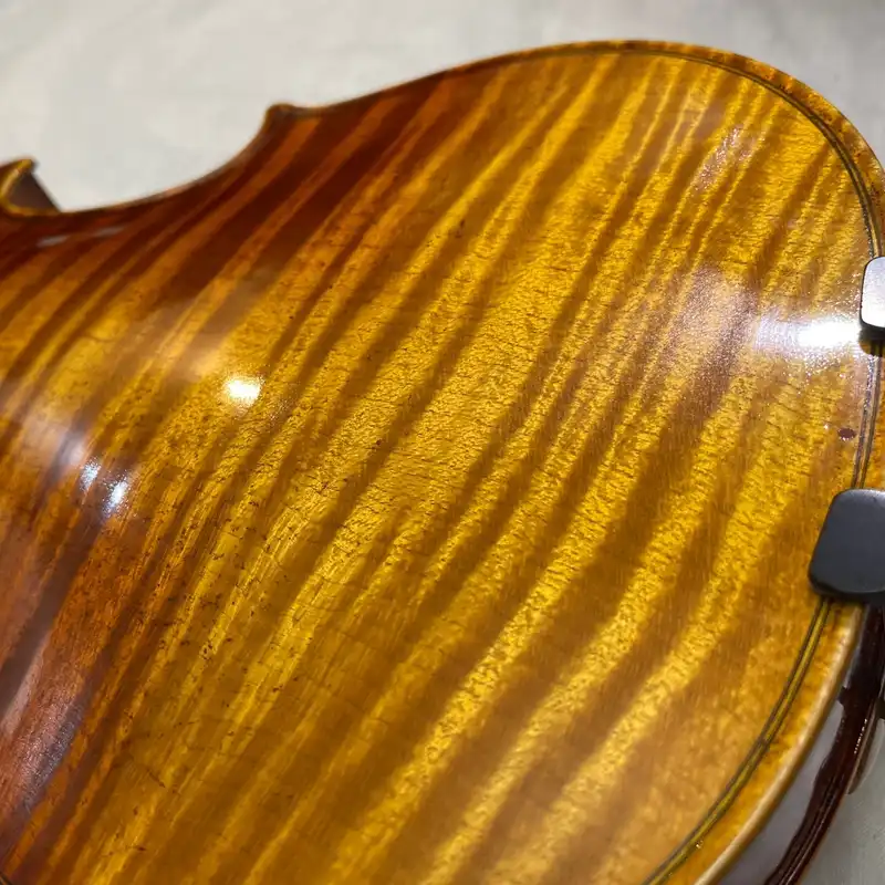 ویولن مدل Paolo Leoneri M9