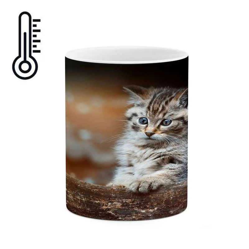 ماگ حرارتی کاکتی مدل گربه کد mgh14208