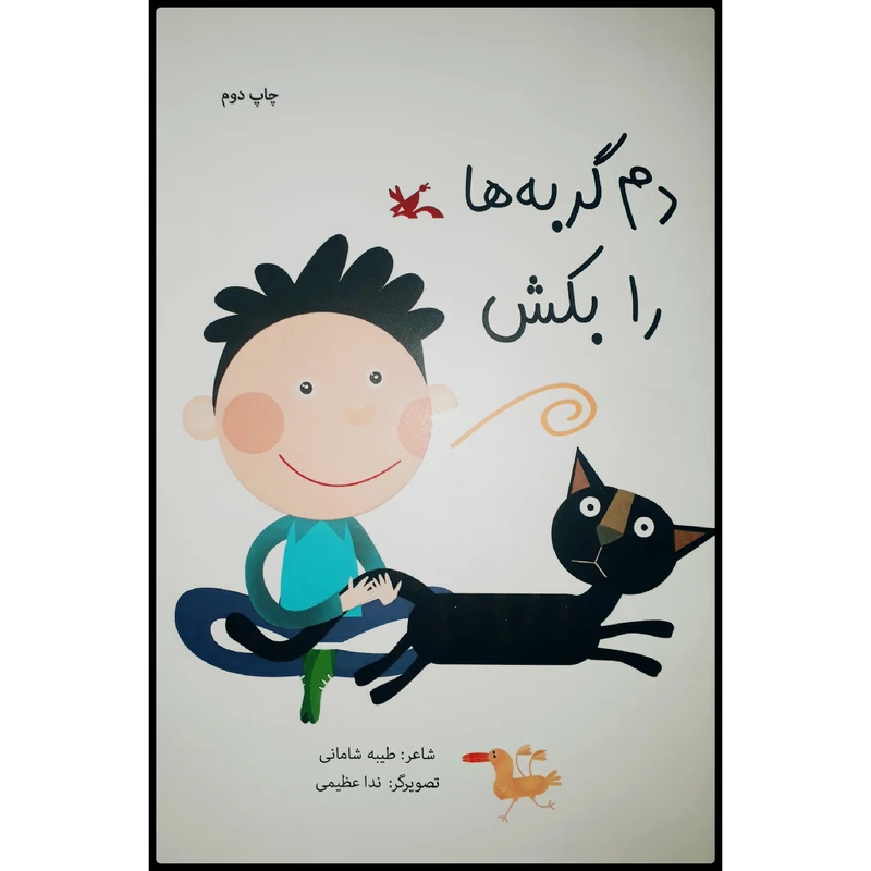 کتاب دم گربه‌ها را بکش اثر طیبه شامانی انتشارات کانون پرورش فکری کودکان و نوجوانان
