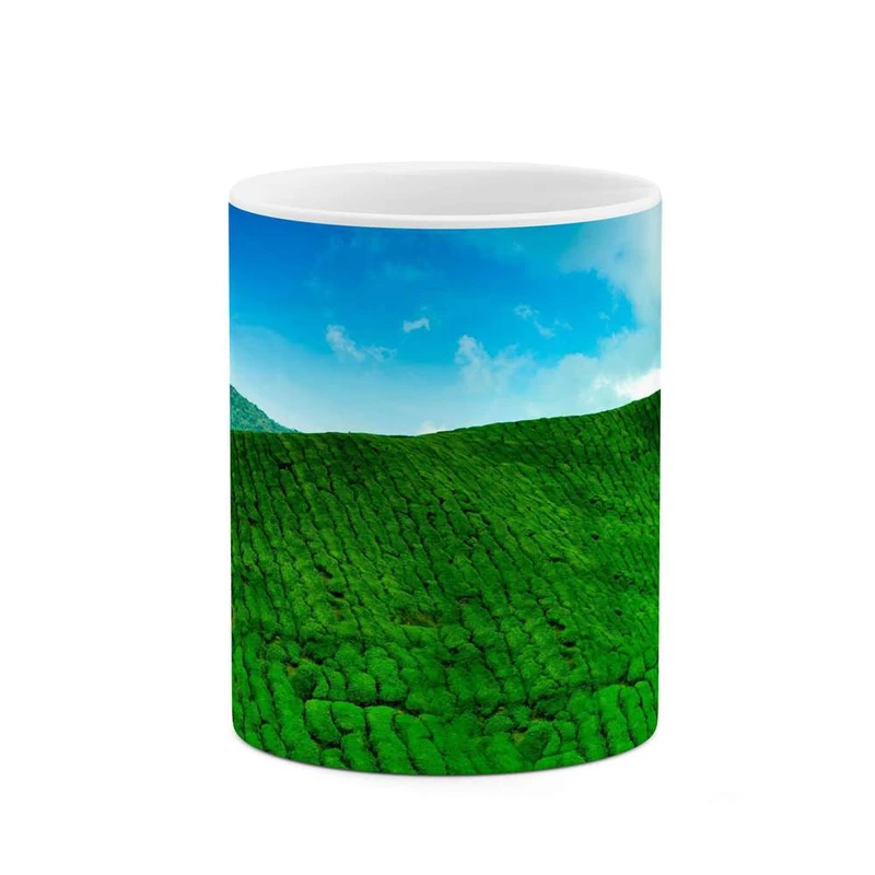 ماگ کاکتی مدل کوهستان کد mgh11215