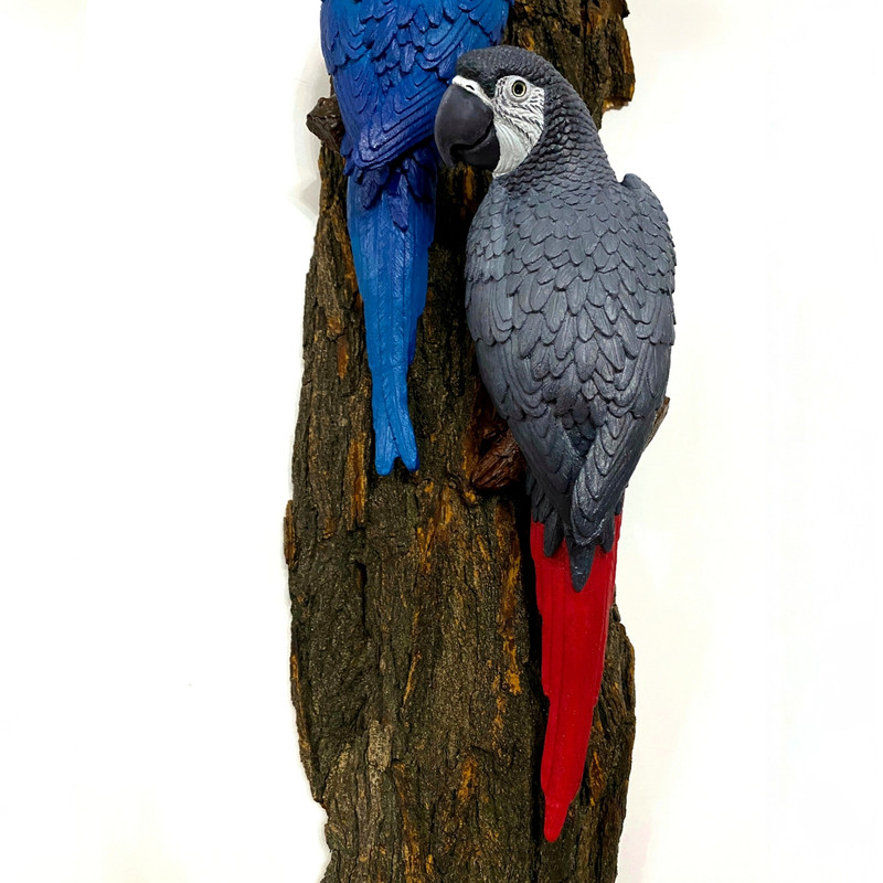 مجسمه مدل طوطی مدل کاسکو