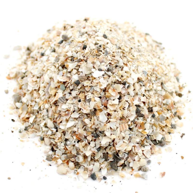 صدف خرد شده دریایی مدل کاسه ای کد  Z1 بسته 360 گرمی