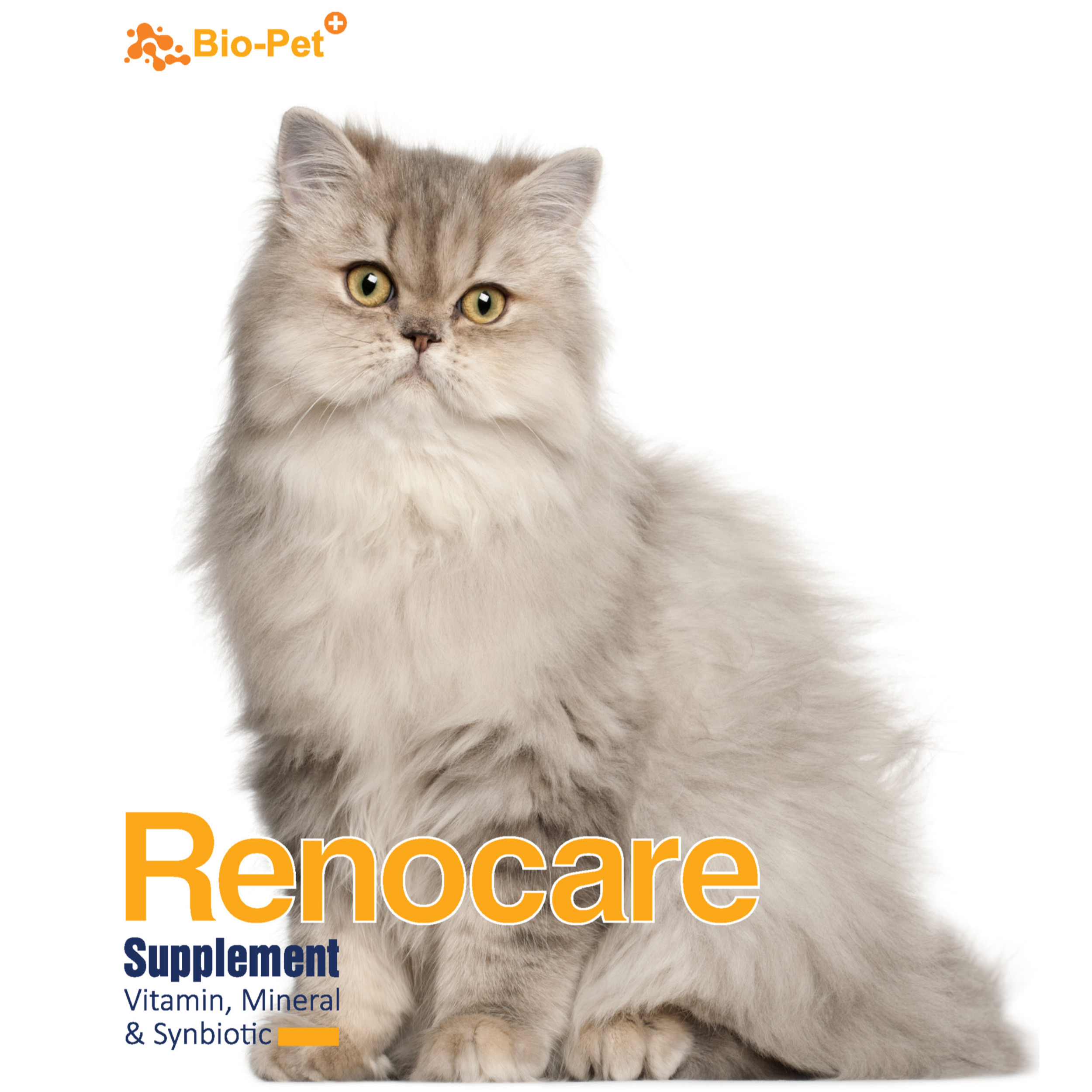 پودر مکمل گربه بایو پت مدل Renocare وزن 200 گرم