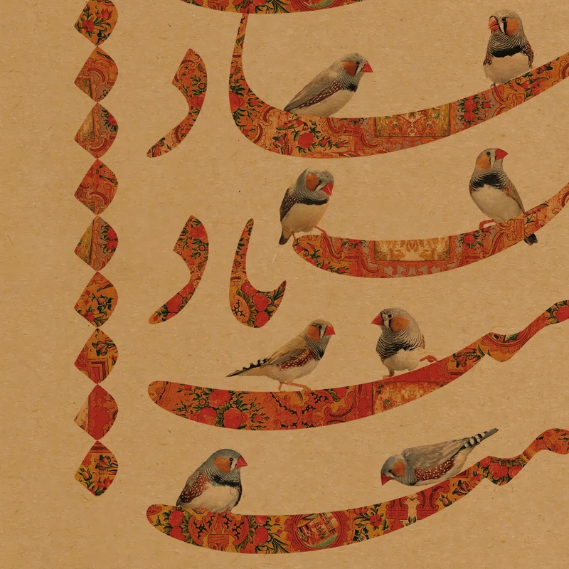 کاغذ کادو طرح خوشنویسی کد 166 بسته 5 عددی