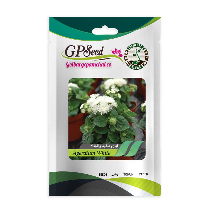 بذر گل ابری سفید گلدانی گلبرگ پامچال کد GPF-293