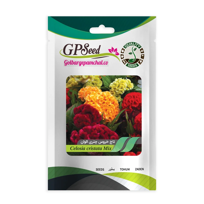 بذر گل تاج خروس چتری الوان جی پی سید مدل GP9354