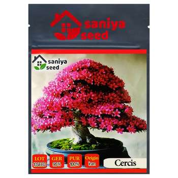 بذر و تخم گیاهان