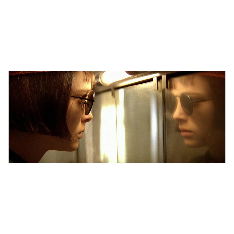 تابلو شاسی مدل فیلم لئون حرفه ای کد 0091