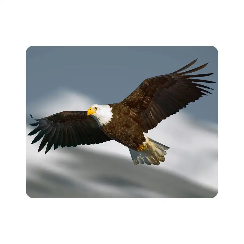 ماوس پد اطلس آبی طرح عقاب مدل T2028