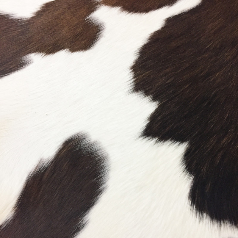 فرش پوست انارکارپت مدل AN131-P281