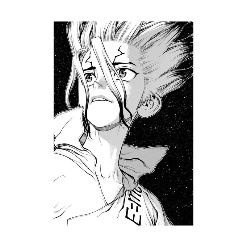 استیکر لپ تاپ و موبایل مدل انیمه طرح Senku Ishigami dr stone کد 5940