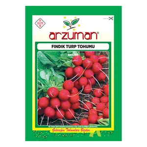 بذر تربچه گرد آرزومان کد 11569