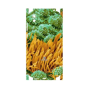 MAHOOT Atom Universe 6-FullSkin Cover Sticker for Honor 8S