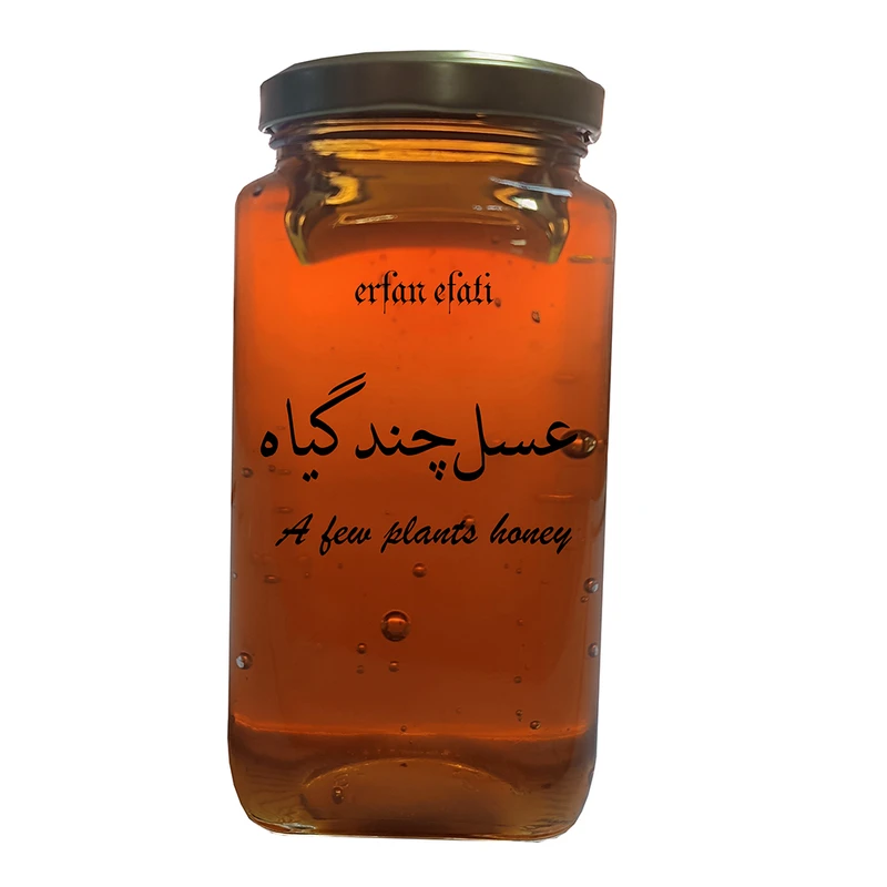 عسل چند گیاه بدون تغذیه کل چرمی - 980 گرم