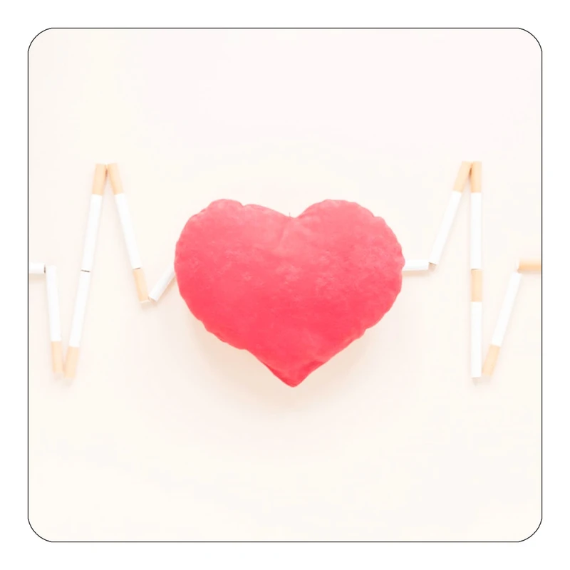 مگنت کاکتی طرح عاشقانه مدل mp40289