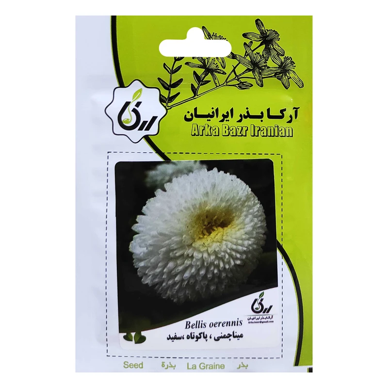 بذر مینا چمنی پاکوتاه سفید آرکا بذر ایرانیان کد ARK-053
