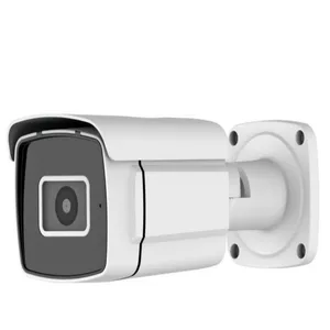 دوربین مداربسته تحت شبکه دی ام مدل IPC-HFW2531W-I3