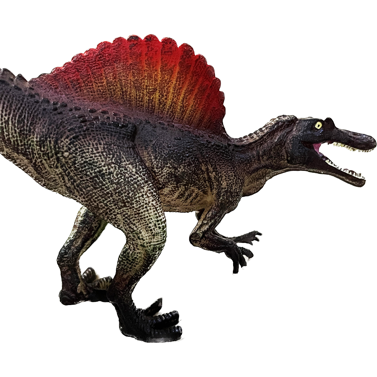 فیگور مدل دایناسور گوشت خوار کد 8008