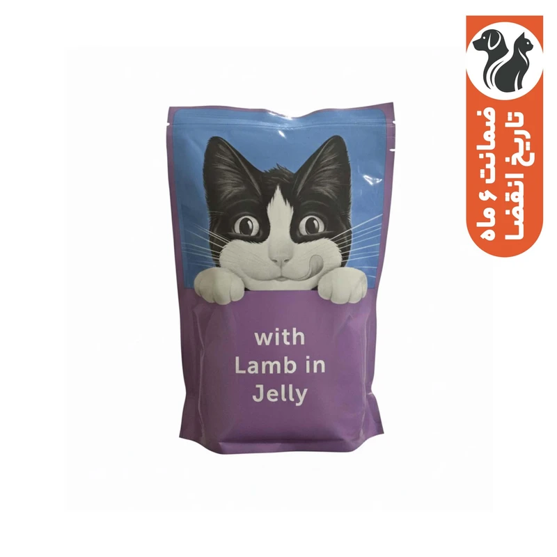 پوچ گربه فلیکس مدل گوشت بره طعم بره وزن 85 گرم