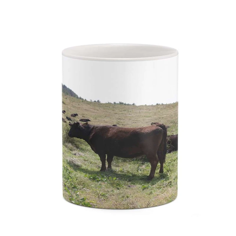 ماگ کاکتی مدل گاو کد mgh19225