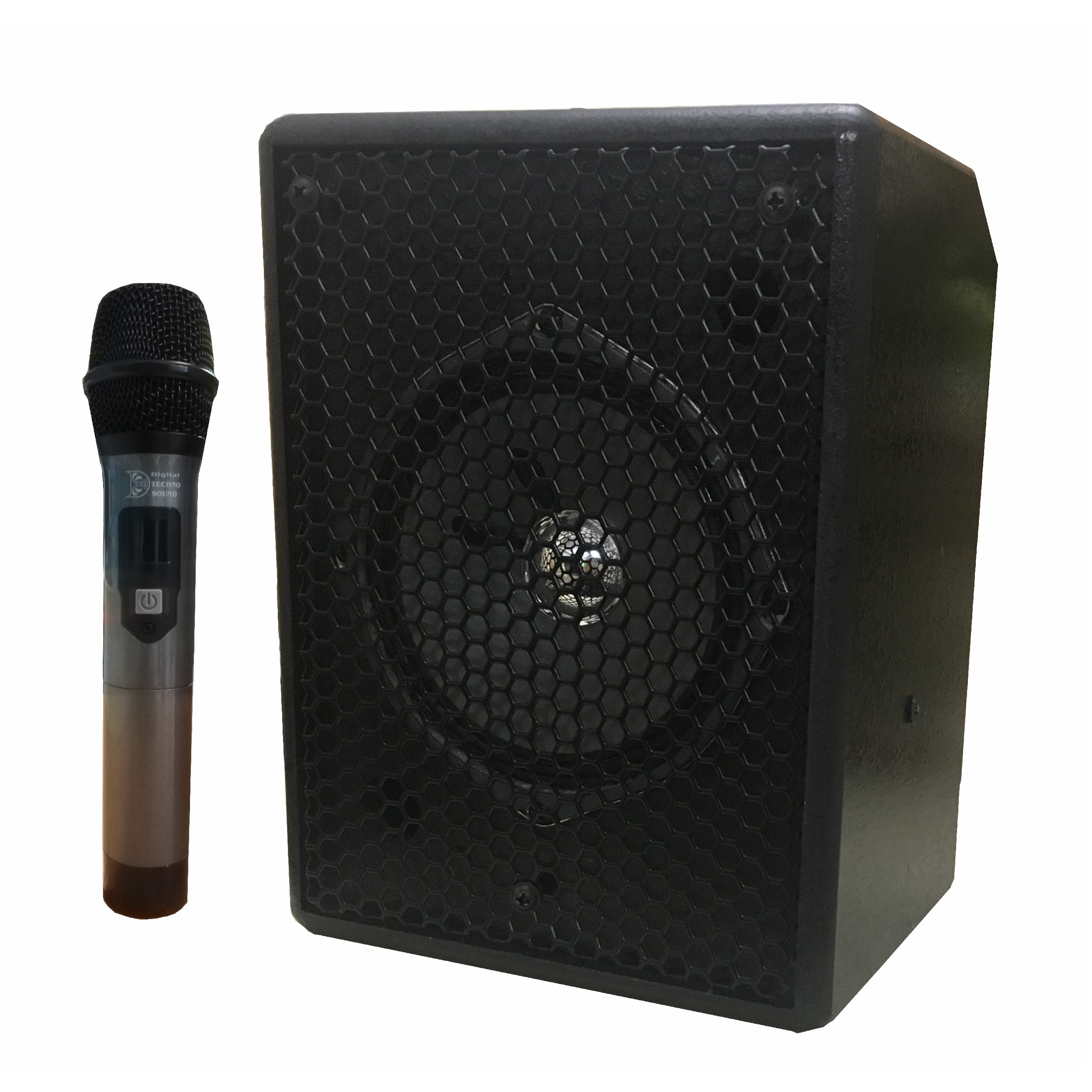 اکو همراه تکنوسوند مدل TS60W به همراه میکروفن